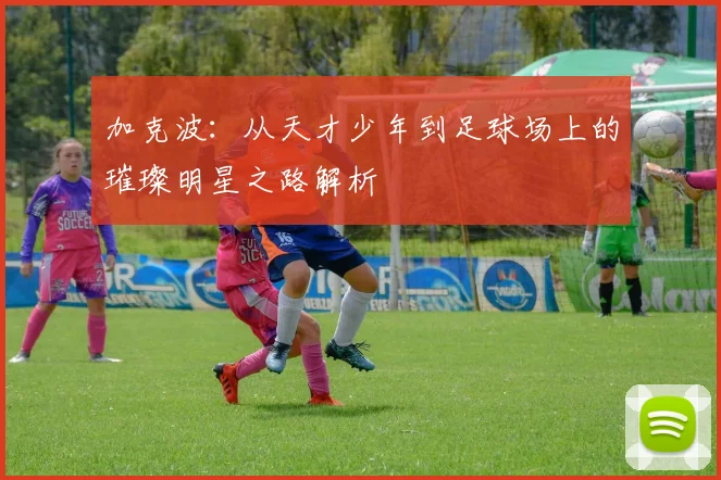 加克波：从天才少年到足球场上的璀璨明星之路解析
